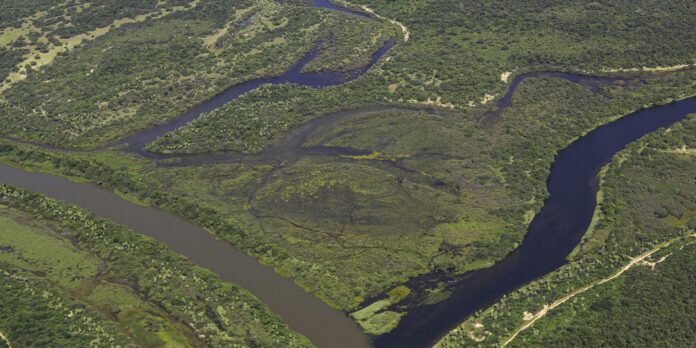maior-parte-da-mata-atlantica-tem-menos-de-30%-de-vegetacao-nativa