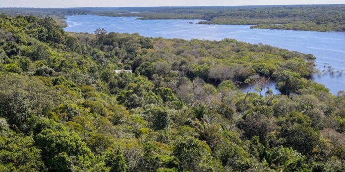 conflito-por-territorio-e-principal-gerador-de-violencia-na-amazonia