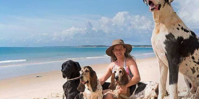 ferias-chegam-e-trazem-um-dilema:-viajar-ou-nao-com-os-pets?