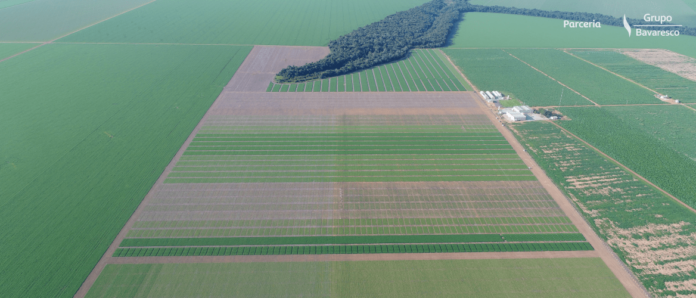 IMAGEM AÉREA DO CAD NORTE, EM SORRISO (1)