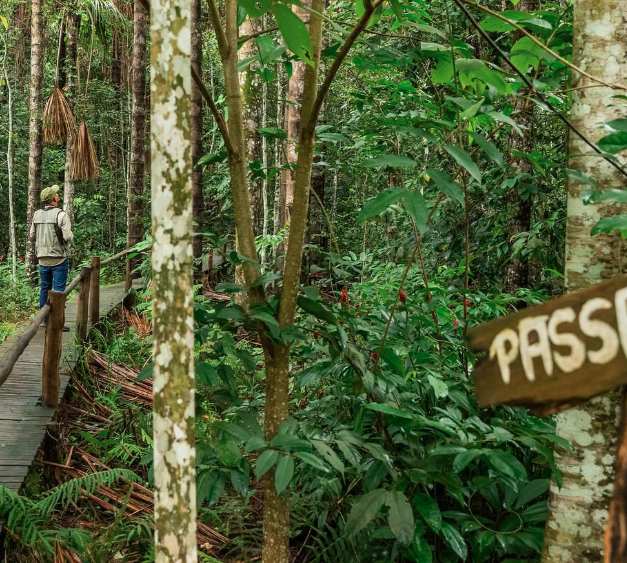 observação de aves