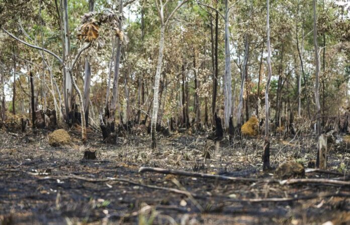 1057806-ebc_07.12.2016-3110_07.12.16-topaz