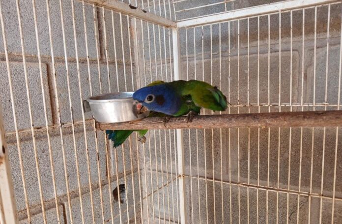 WhatsApp Image 2025-09-05 at 17.10.19