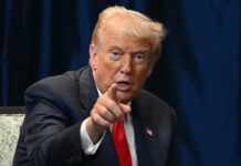 Trump parabeniza Milei e diz que ele teve ‘muita ajuda dos EUA’ em vitória na eleição na Argentina