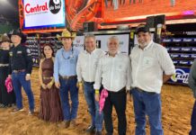 Expossol 2025 destaca força do agronegócio e união das famílias rurais em Mirassol D’Oeste