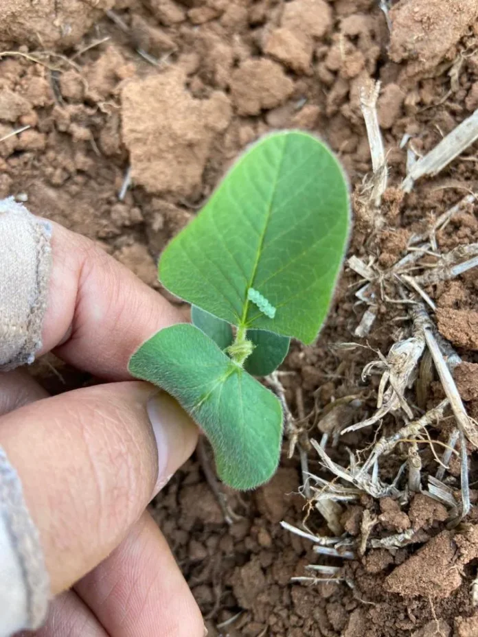 ba314cf9e91cd129b5b0cebad8568937