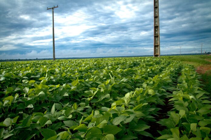 fedf0357-bbda-4cd3-8f7f-a678409c9e37