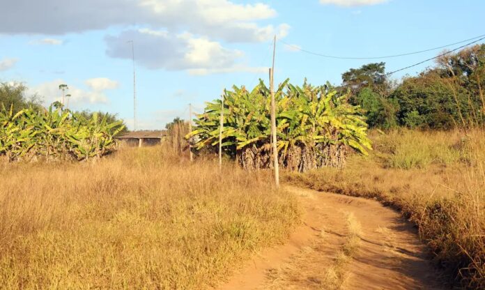 imovel_rural