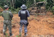 Batalhão Ambiental aplica mais de R$ 153 milhões em multas de janeiro até outubro deste ano