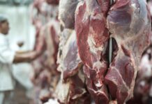Mato Grosso amplia exportações de carne bovina para a Ásia em 39,4%