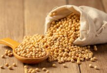 Soja e trigo: confira as cotações de preço para esta segunda-feira (24)