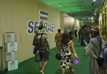 Da percepção à ação: pesquisa revela onde os pequenos negócios podem avançar com apoio em sustentabilidade e clima