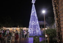 Acendimento das luzes abre a temporada da Magia do Natal no Sesc Arsenal e em Rondonópolis