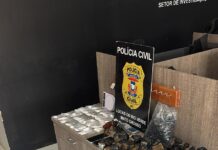 Polícia Civil prende mulher que traficava entorpecentes em Lucas do Rio Verde