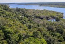 Licenciamento Ambiental: entidades veem derrubada de vetos como avanço para o desenvolvimento sustentável