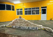 PRF apreende mais de 200 tabletes de drogas em Primavera do Leste