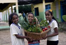 Prazo para adesão ao Novo Pronacampo é prorrogado até 30 de novembro