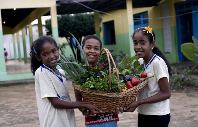 ea62d4e2-dc75-455b-9666-4e5df65b10f5