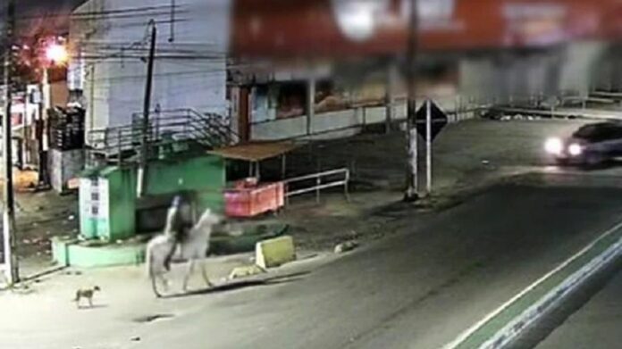 homem-e-filmado-por-camera-de-segurando-carregando-mulher-desacordada-em-cavalo-branco-em-pernambuco-1763132111177_v2_900x506