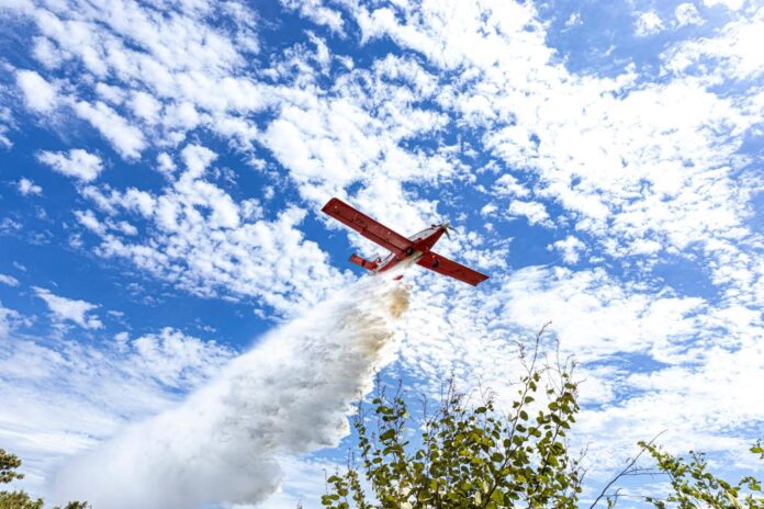 incendio_florestal (8)