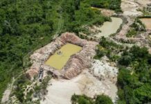 Facções criminosas avançam na Amazônia Legal