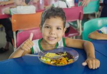 Do campo para o prato: Prefeitura investe mais de 89% dos recursos da merenda escolar na agricultura familiar em Lucas do Rio Verde