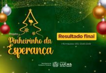 Confira as empresas selecionadas para o projeto “Pinheirinho da Esperança”