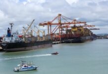 Agro brasileiro reduz vendas aos EUA, mas superávit bate recorde