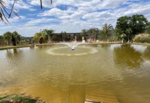 Após reabilitação, Sema realiza transporte de animais silvestres para santuário em Minas Gerais