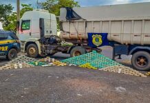 PRF apreende grande quantidade de drogas em caminhão na BR-070, em Várzea Grande (MT)