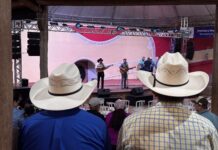 Encontro Nacional de Violeiros de Poxoréu é reconhecido como patrimônio cultural de Mato Grosso
