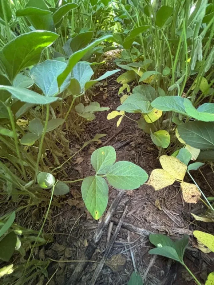 58a4a84271f5cc19d79959c9dc273a57