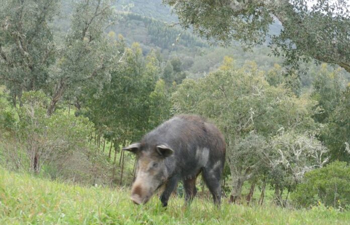 Adobe Express - file (32)