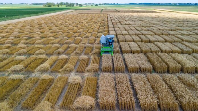 FLAfvsp73Fiw0227V1ESMslzJ3rzQps8TzHbKl3j (2)