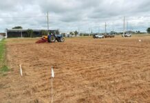 Show Safra MT 2026 começa a ser construído no campo muito antes da feira abrir os portões