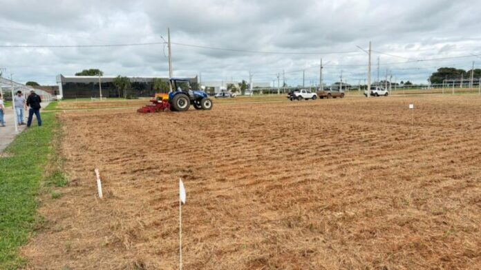 Imagem-do-WhatsApp-de-2025-12-16-as-08.54.17_f201e160-768x432