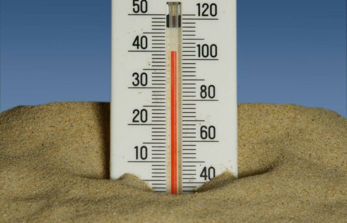 WhatsApp Image 2025-12-23 at 21.01.29