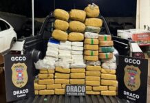 Polícia Civil prende homem e apreende grande carregamento de drogas em Cuiabá