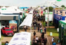 Show Safra Negócios ganha protagonismo e consolida papel como polo de oportunidades no Show Safra MT 2026