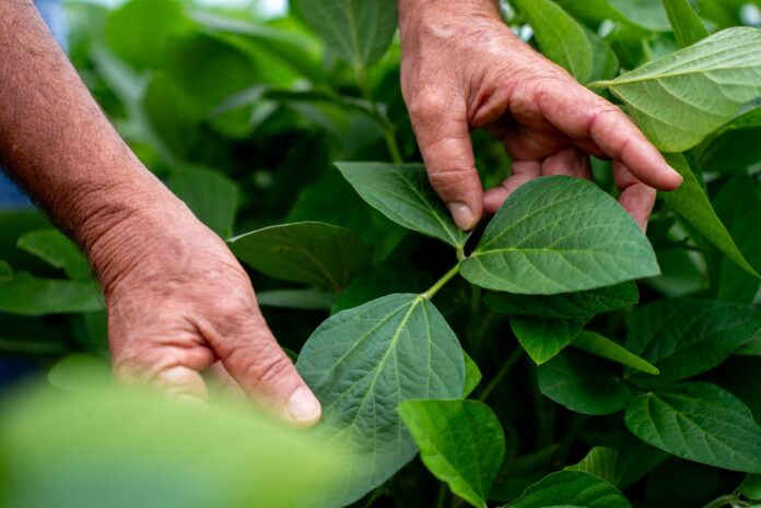 ee5df96b-c77e-499b-8a2a-b5687ac6baa6