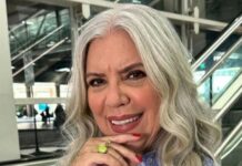 Astrid Fontenelle anuncia fim de seu programa no GNT: “assim é a vida e a TV”