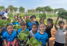 Horta Escolar da Escola Municipal Prof. Marcelino E. Dutra enriquece aprendizado dos alunos