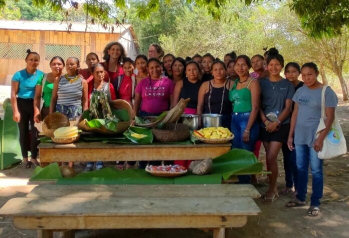 03 BERÇO DAS ÁGUAS. Povos Rikbaktsa e Apiaká implementam ações de gestão territorial