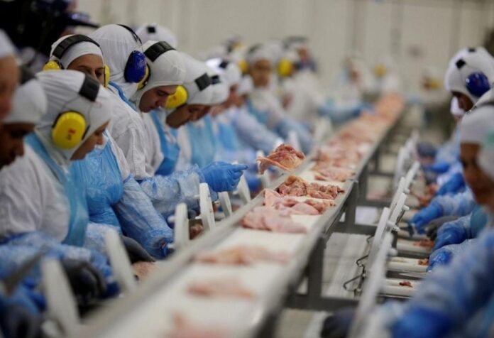 04 Doze municípios de Mato Grosso ficaram entre os 100 municípios brasileiros que mais exportaram