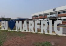 Marfrig abre 300 vagas de emprego na unidade de Várzea Grande