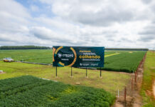 Da pesquisa à lavoura, CTECNO Parecis leva ciência ao campo há dez anos