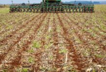 TCU deve investigar venda casada em financiamentos a produtores rurais