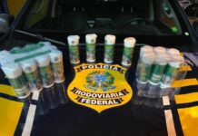 PRF apreende metanfetamina transportada em ônibus na BR-364