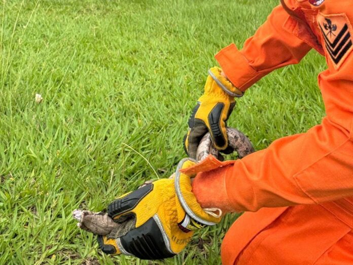 WhatsApp Image 2026-01-21 at 13.45.52