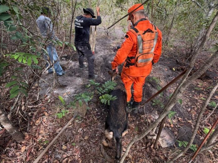 WhatsApp Image 2026-01-27 at 16.27.08